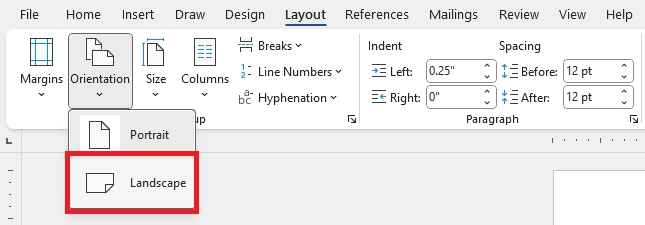 Screenshot of Microsoft Word.  Under Orientation, the Landscape box has thick red border around it.